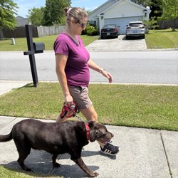Dunkin' is learning how to walk without pulling his owner on the leash.