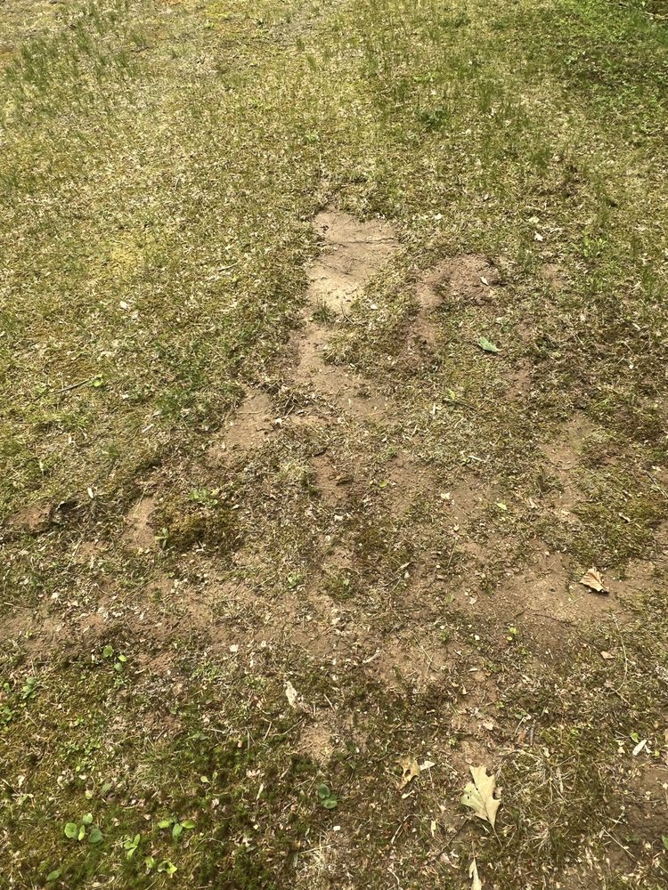 Slide of Bantam Wesson Energy