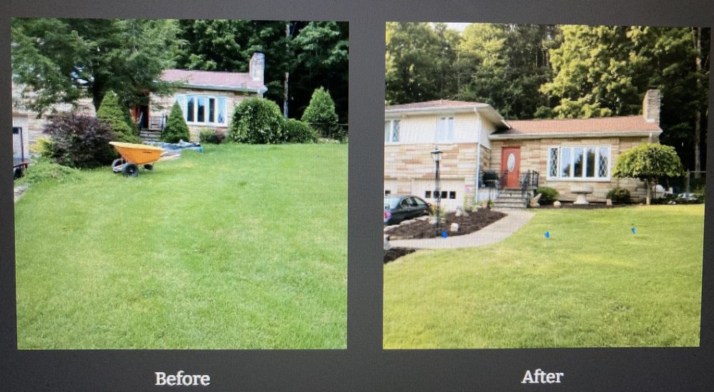 SAW IT ALL TREE WORX Updated June 2024 Blossvale, New York Tree