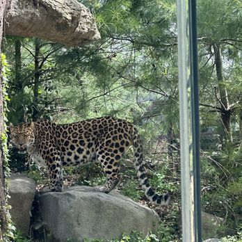 STATEN ISLAND ZOO - Updated March 2025 - 308 Photos & 94 Reviews - 614