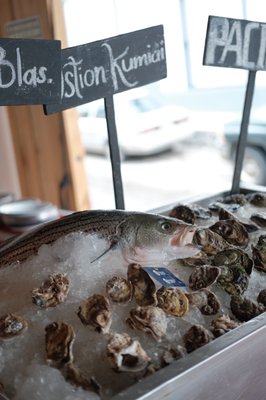 Oyster Grill de La Docena by null