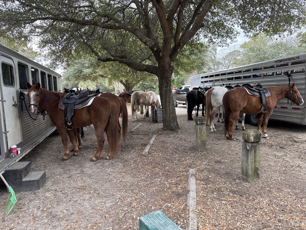 Horseback Riding of Myrtle Beach Logo