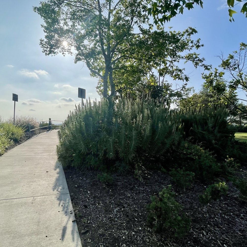 Borrego Park - Parks Near Me - Foothill Ranch, California Borrego Park - Parks Near Me - Foothill Ranch, California
