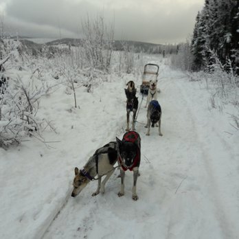 Borealis Basecamp - dog sledding! - Hotels Near Me - Fairbanks, Alaska