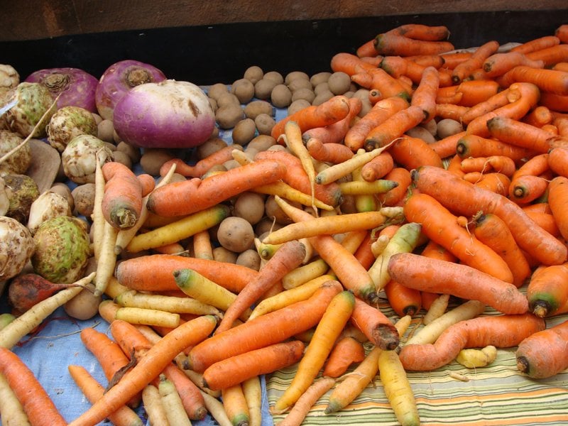 Wayland Winter Farmers Market Logo