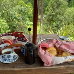 Rangimarie Bush Retreat - Awesome breakfast!