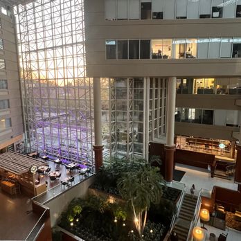 Hyatt Regency Greenville - The atrium is a great view compared to the outside views. - Hotels Near Me - Greenville, South Carolina Hyatt Regency Greenville - The atrium is a great view compared to the outside views. - Hotels Near Me - Greenville, South Carolina