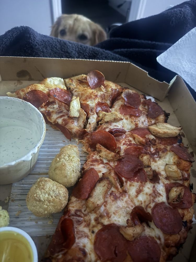 Domino's Pizza Logo