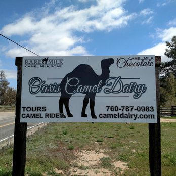 Oasis Camel Dairy - Entrance sign - Attraction Farms Near Me - Ramona, California Oasis Camel Dairy - Entrance sign - Attraction Farms Near Me - Ramona, California