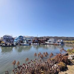Sausalito Bike Rentals & Tours