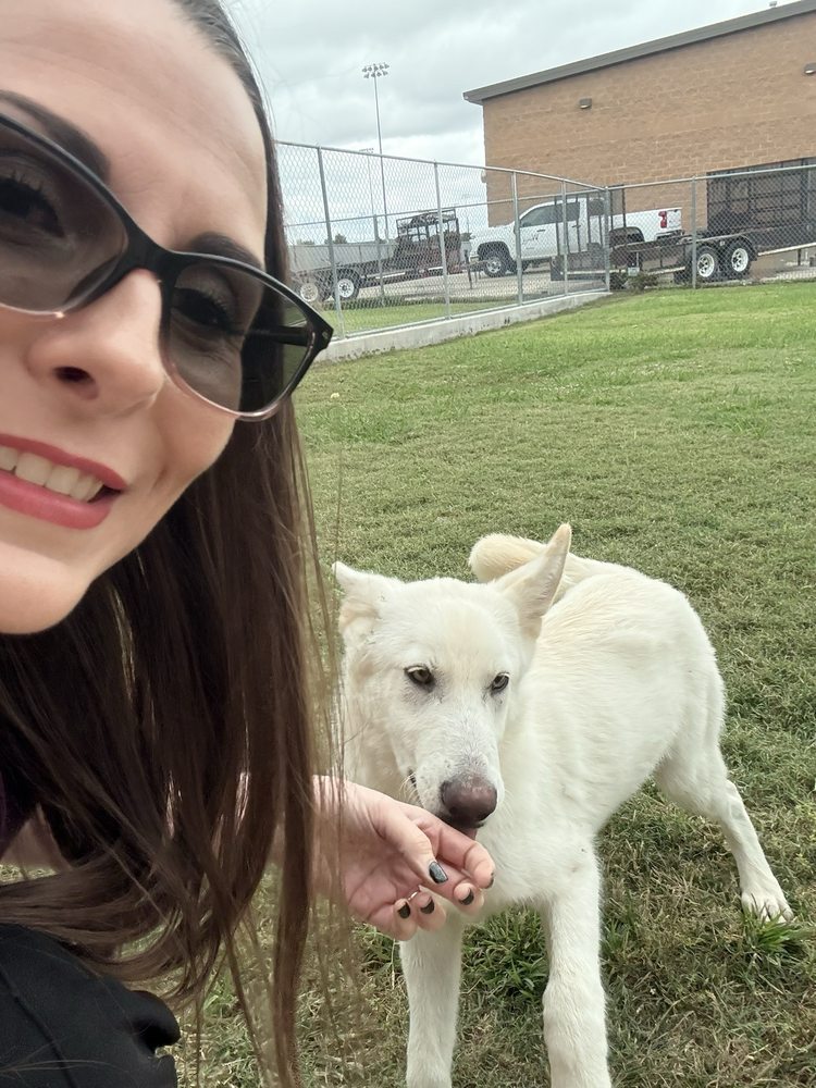 Wylie Animal Shelter