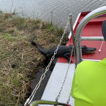 Airboat Adventures - Boat Tours Near Me - Lafitte, Louisiana
