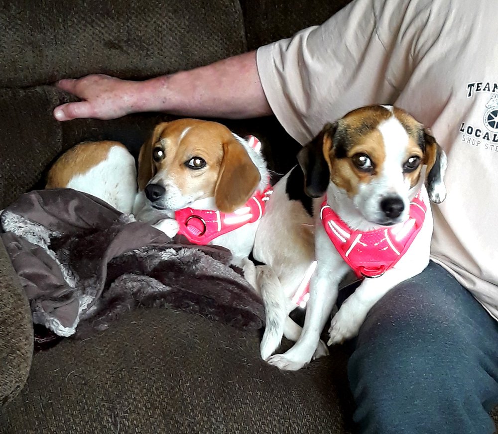 VETS & PETS PET HOSPITAL 554 Charles Town Rd, Martinsburg, West