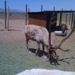 The Animal Education Center