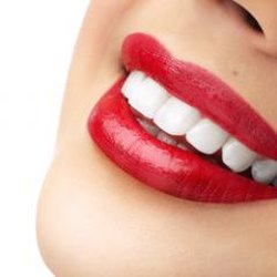 Elberta Dental