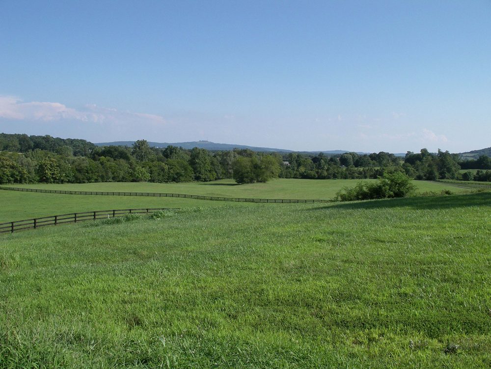 CedarSprings - equestrian in Culpeper, VA