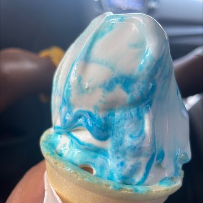 Burk's Igloo by null