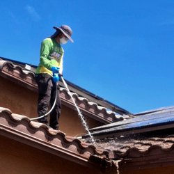 Green Arrow Pest Solutions - Bird exclusion cleaning and sanitization