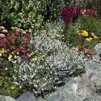 Curious Flora Nursery - Gardens - Nurseries & Gardening Near Me - Richmond, California