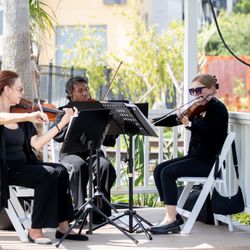 Celebration Gardens - Live musicians