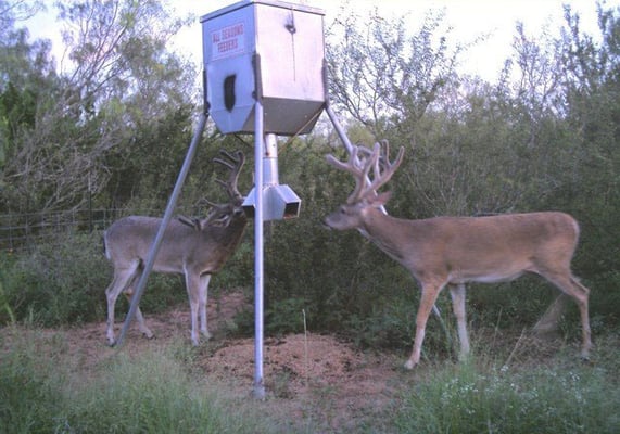 All Seasons Feeders 8424 Us Highway 87 E San Antonio Tx Outdoor