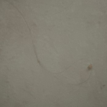 Eva's Cafe - Here is a picture of the hair that was on my food and on my mouth as I was eating it!! - Mexican Near Me - Salinas, California