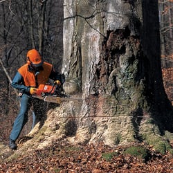 Dennis Harrington Tree Service - We use STIHL saws-Best Quality