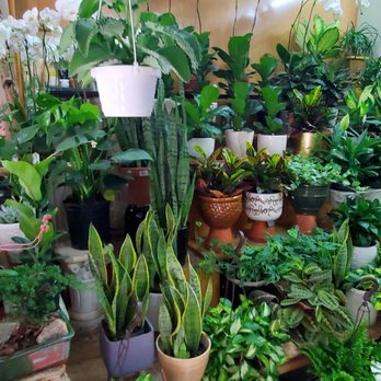 NYC Floral Decorators - Florists Near Me - New York, New York NYC Floral Decorators - Florists Near Me - New York, New York