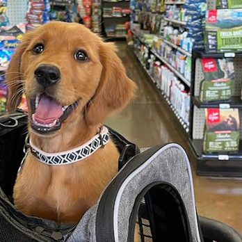 My Pet Market - Pet Stores Near Me - Phoenix, Arizona My Pet Market - Pet Stores Near Me - Phoenix, Arizona