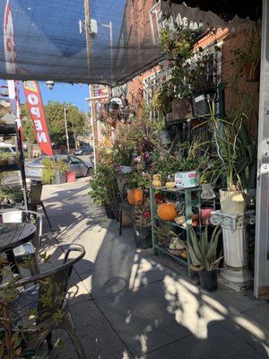 Zenaida's café by null