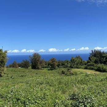 Waipi'o On Horseback - Horseback Riding Near Me - Honokaa, Hawaii