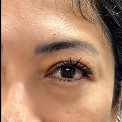 ZK Beauty Lashes