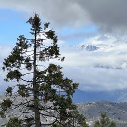 Hume Lake Christian Camps - The mountains are peeking through!
