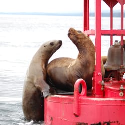 Hoonah Travel Adventures