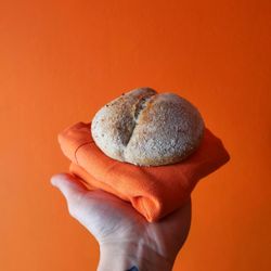 OlisticHouse Vegan - Semel Toscano semintegrale per Home Food delivery