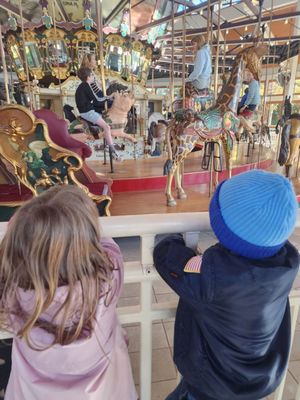 Coolidge Carousel by null