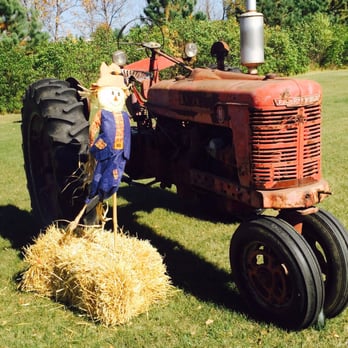 Angelic Gardens - an old tractor with hay bales - Fruits & Veggies Near Me - Minot, North Dakota Angelic Gardens - an old tractor with hay bales - Fruits & Veggies Near Me - Minot, North Dakota