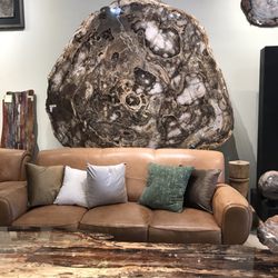 The Coop Mineral and Fossil Gallery - Petrified wood