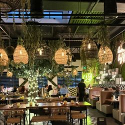 Festive atmosphere