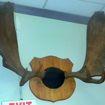 Justin Cole’s Down East Saloon - Moose be here! - Bars Near Me - Homer, Alaska