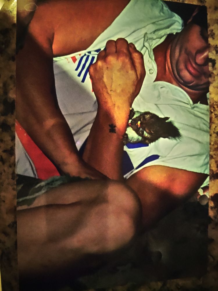 Hurricane Tree Specialists - tree service in Tampa, FL