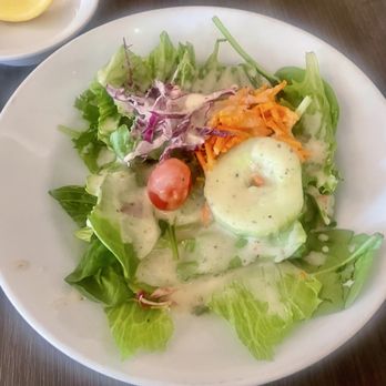 Noon Mirch - House Salad - Indian Near Me - Webster, Texas