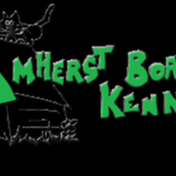 Amherst Boarding Kennel - untitled