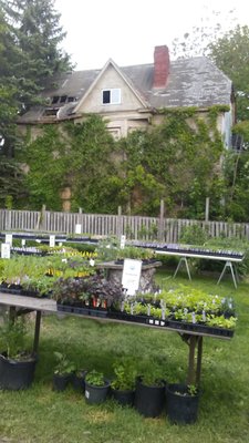 Garden Dreams Urban Farm & Nursery - Grow Pittsburgh by null