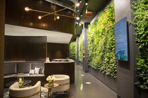 Extension Health by null