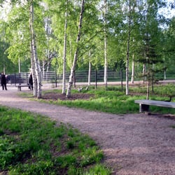 Lukupuron koirapuisto