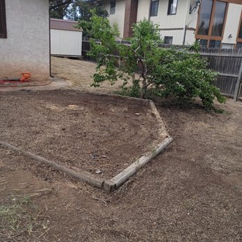 DZ Tree - Tree Services Near Me - Los Alamos, New Mexico DZ Tree - Tree Services Near Me - Los Alamos, New Mexico