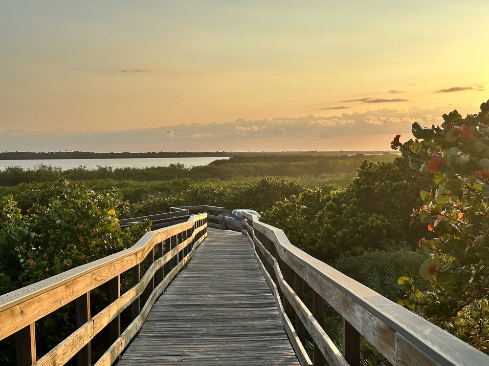 Playalinda Beach Image