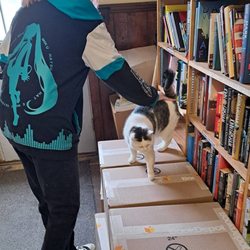 Bridgton Books - Luna