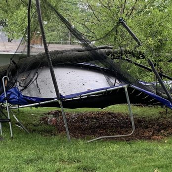 Green Tops Tree Service - Tree Services Near Me